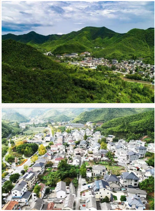 探访绿水青山路丨龙牌集团北新涂料携千余名合作伙伴到安吉余村参观学习(图3)